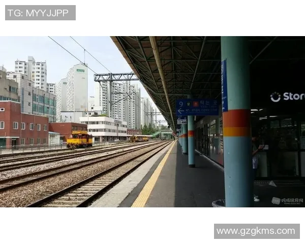 江陵与大田地铁发展对比探讨及未来规划展望