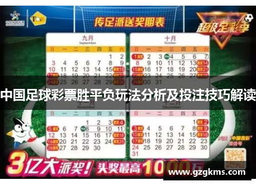中国足球彩票胜平负玩法分析及投注技巧解读