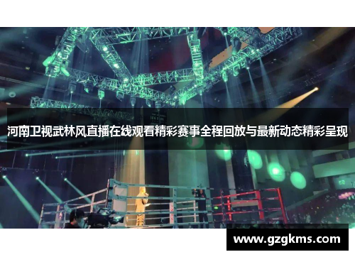 河南卫视武林风直播在线观看精彩赛事全程回放与最新动态精彩呈现