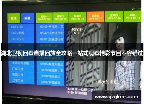 湖北卫视回看直播回放全攻略一站式观看精彩节目不容错过