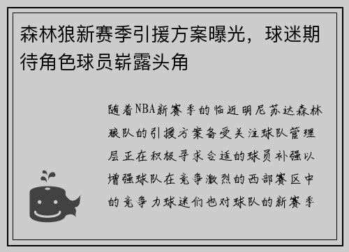 森林狼新赛季引援方案曝光，球迷期待角色球员崭露头角